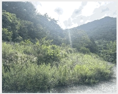  2025Ÿ��21747 �泲 �뿵�� ������ �׸��� 1226-1      ����(��1)���