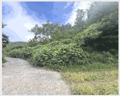  2025Ÿ��21747 �泲 �뿵�� ������ �׸��� 1226-1      ����(��1)���