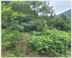  2025Ÿ��21747 �泲 �뿵�� ������ �׸��� 1226-1      ����(��1)���