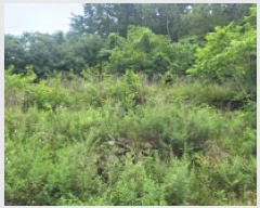  2025Ÿ��21747 �泲 �뿵�� ������ �׸��� 1226-1      ����(��1)���