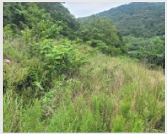  2025Ÿ��21747 �泲 �뿵�� ������ �׸��� 1226-1      ����(��1)���