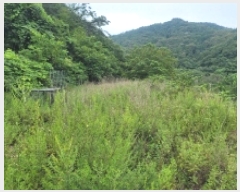  2025Ÿ��21747 �泲 �뿵�� ������ �׸��� 1226-1      ����(��1)���