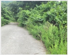  2025Ÿ��21747 �泲 �뿵�� ������ �׸��� 1226-1      ����(��1)���