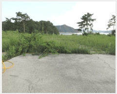  2025Ÿ��21787 �泲 ������ ���ϸ� ���¸� 122-7      ����(��1)���