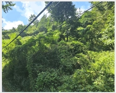  2025Ÿ��21795 �泲 ������ ���ϸ� ����� ��258      ����(�Ӿ�)���