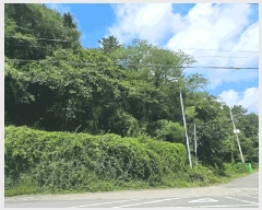  2025Ÿ��21795 �泲 ������ ���ϸ� ����� ��258      ����(�Ӿ�)���