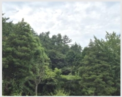  2025Ÿ��21795 �泲 ������ ���ϸ� ����� ��258      ����(�Ӿ�)���