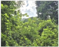  2025Ÿ��21795 �泲 ������ ���ϸ� ����� ��258      ����(�Ӿ�)���