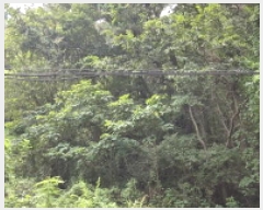  2025Ÿ��21795 �泲 ������ ���ϸ� ����� ��258      ����(�Ӿ�)���