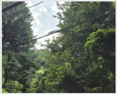  2025Ÿ��21795 �泲 ������ ���ϸ� ����� ��258      ����(�Ӿ�)���