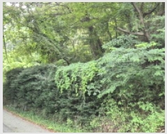  2025Ÿ��21795 �泲 ������ ���ϸ� ����� ��258      ����(�Ӿ�)���