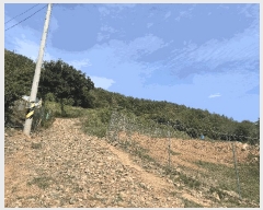  2025Ÿ��21826  �����