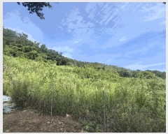  2025Ÿ��21826  �����