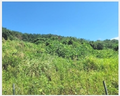  2025Ÿ��21826  �����