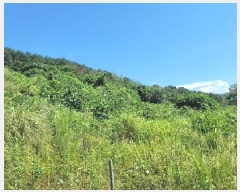  2025Ÿ��21826  �����