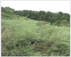  2025Ÿ��21875  �����