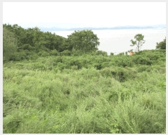  2025Ÿ��21875  �����