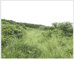  2025Ÿ��21875  �����