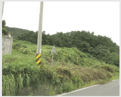  2025Ÿ��21875  �����