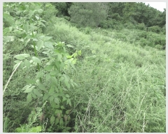  2025Ÿ��21875  �����