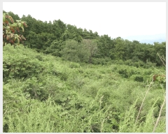  2025Ÿ��21875  �����