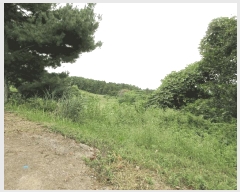  2025Ÿ��21875  �����