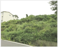  2025Ÿ��21875  �����