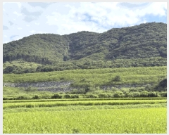  2025Ÿ��21893  �Ӿ߰��