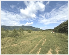  2025Ÿ��21893  �Ӿ߰��