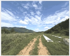  2025Ÿ��21893  �Ӿ߰��