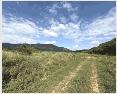  2025Ÿ��21893  �Ӿ߰��