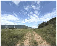  2025Ÿ��21893  �Ӿ߰��