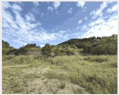  2025Ÿ��21893  �Ӿ߰��