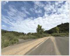  2025Ÿ��21893  �Ӿ߰��