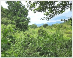  2025Ÿ��21909 �泲 ������ ���θ� ��縮 590      ����(��)���