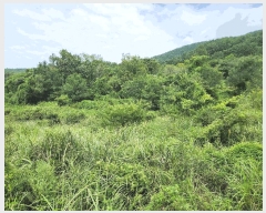  2025Ÿ��21909 �泲 ������ ���θ� ��縮 590      ����(��)���