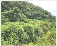  2025Ÿ��21909 �泲 ������ ���θ� ��縮 590      ����(��)���