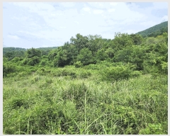  2025Ÿ��21909 �泲 ������ ���θ� ��縮 590      ����(��)���