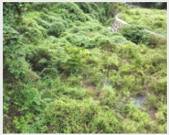  2025Ÿ��21909 �泲 ������ ���θ� ��縮 590      ����(��)���