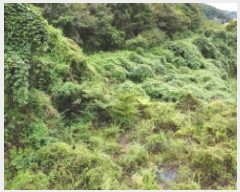  2025Ÿ��21909 �泲 ������ ���θ� ��縮 590      ����(��)���