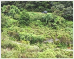  2025Ÿ��21909 �泲 ������ ���θ� ��縮 590      ����(��)���