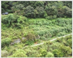  2025Ÿ��21909 �泲 ������ ���θ� ��縮 590      ����(��)���