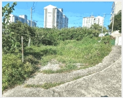  2025Ÿ��21922 �泲 �뿵�� �̼��� 679       ���ð��