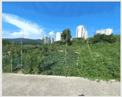  2025Ÿ��21922 �泲 �뿵�� �̼��� 679       ���ð��