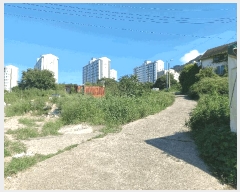  2025Ÿ��21922 �泲 �뿵�� �̼��� 679       ���ð��