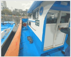  2025Ÿ��21958 �뿵��          ���ڰ��