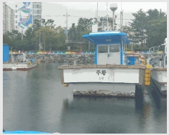  2025Ÿ��21958 �뿵��          ���ڰ��