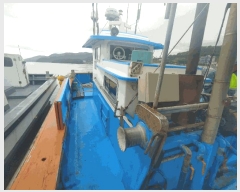  2025Ÿ��21958 �뿵��          ���ڰ��