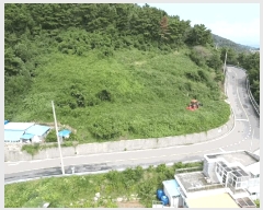  2025Ÿ��21983 �泲 �뿵�� ������ ���׸� 327-9      ����(��1)���