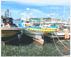  2025Ÿ��21993  ���ڰ��